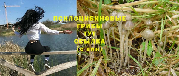 МДПВ Арсеньев