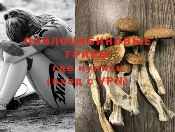 МДПВ Арсеньев